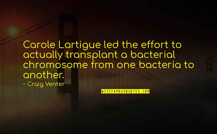 Bacteria Quotes By Craig Venter: Carole Lartigue led the effort to actually transplant