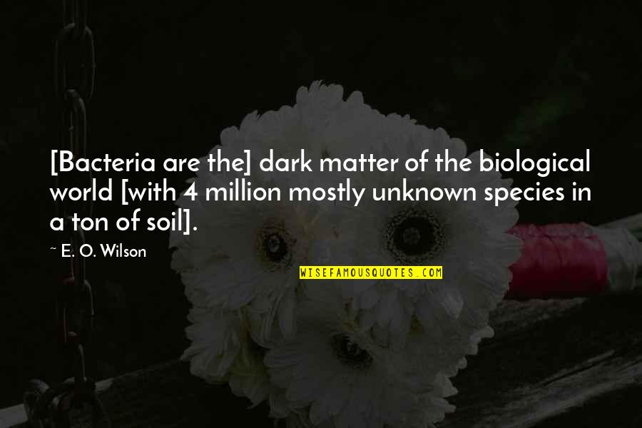 Bacteria Quotes By E. O. Wilson: [Bacteria are the] dark matter of the biological