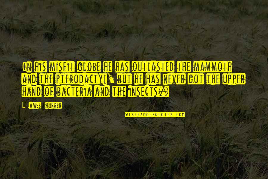 Bacteria Quotes By James Thurber: On his misfit globe he has outlasted the