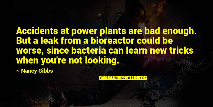 Bacteria Quotes By Nancy Gibbs: Accidents at power plants are bad enough. But