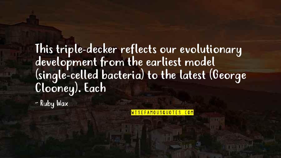 Bacteria Quotes By Ruby Wax: This triple-decker reflects our evolutionary development from the