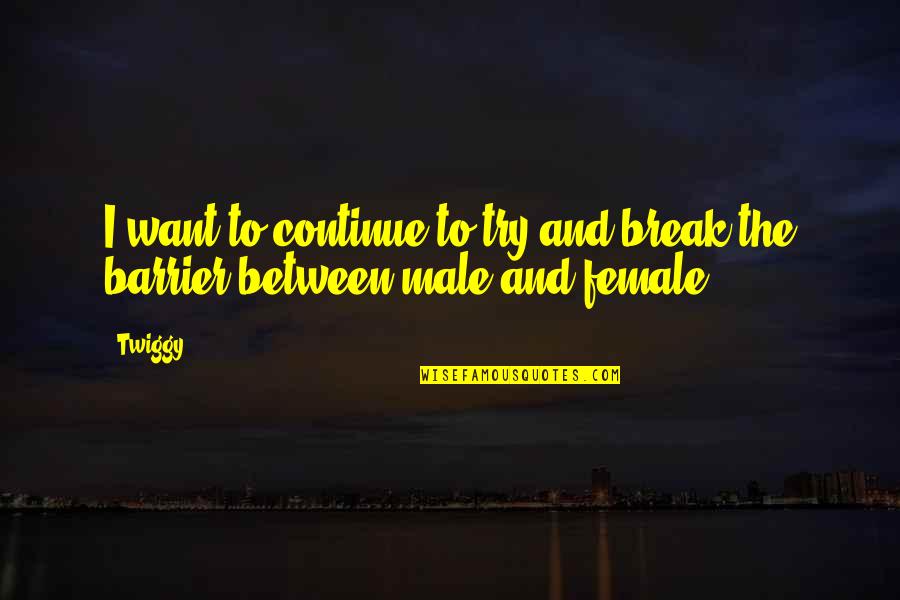 Bacterias Y Quotes By Twiggy: I want to continue to try and break