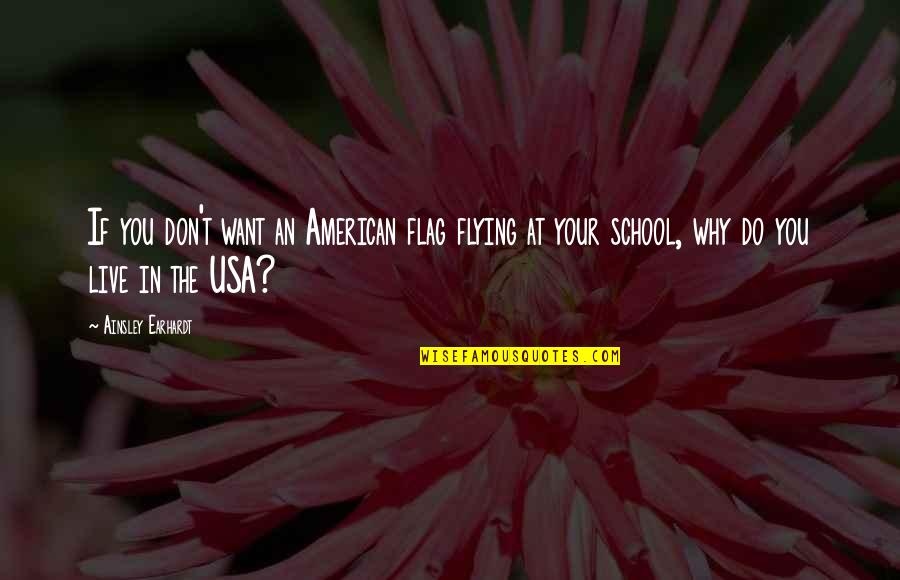 Bacterin Bone Quotes By Ainsley Earhardt: If you don't want an American flag flying