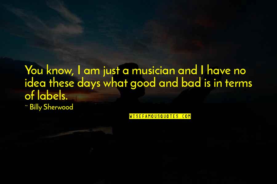 Bad And Good Days Quotes By Billy Sherwood: You know, I am just a musician and