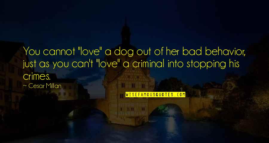Bad Behavior Quotes By Cesar Millan: You cannot "love" a dog out of her