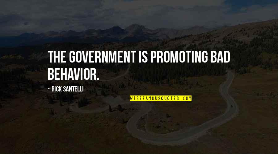 Bad Behavior Quotes By Rick Santelli: The government is promoting bad behavior.