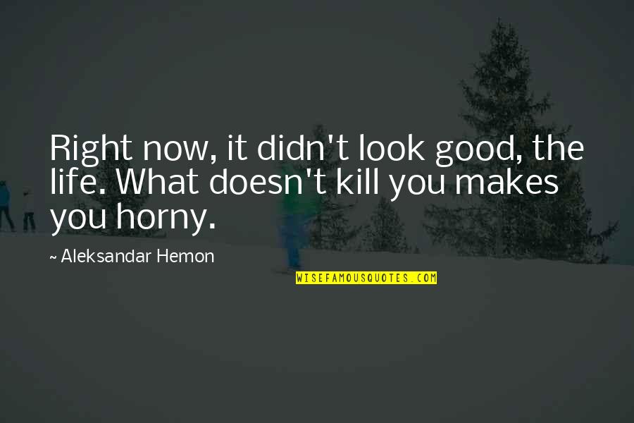 Bad Boy In Love Quotes By Aleksandar Hemon: Right now, it didn't look good, the life.