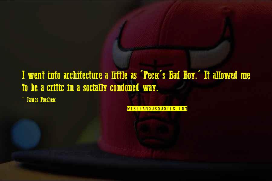 Bad Boy Quotes By James Polshek: I went into architecture a little as 'Peck's Bad Boy Quotes By James Polshek: I went into architecture a little as 'Peck's
