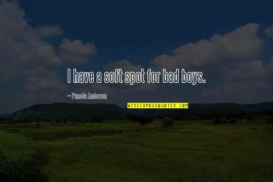 Bad Boy Quotes By Pamela Anderson: I have a soft spot for bad boys. Bad Boy Quotes By Pamela Anderson: I have a soft spot for bad boys.