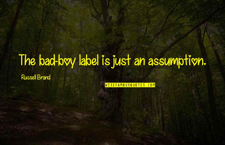 Bad Boy Quotes By Russell Brand: The bad-boy label is just an assumption.