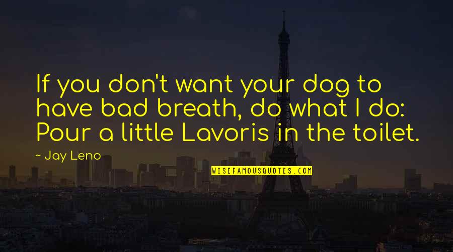 Bad Breath Quotes By Jay Leno: If you don't want your dog to have Bad Breath Quotes By Jay Leno: If you don't want your dog to have