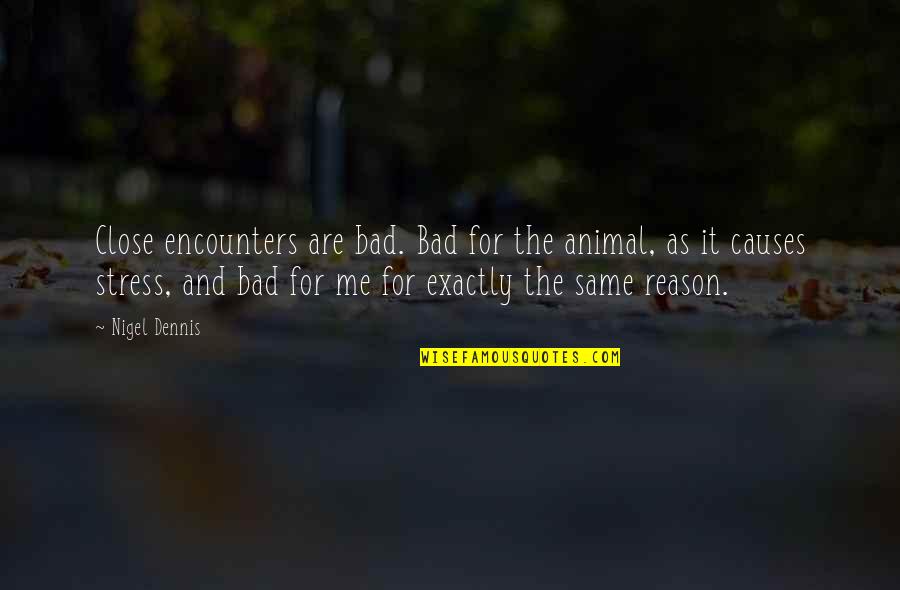 Bad Causes Quotes By Nigel Dennis: Close encounters are bad. Bad for the animal,