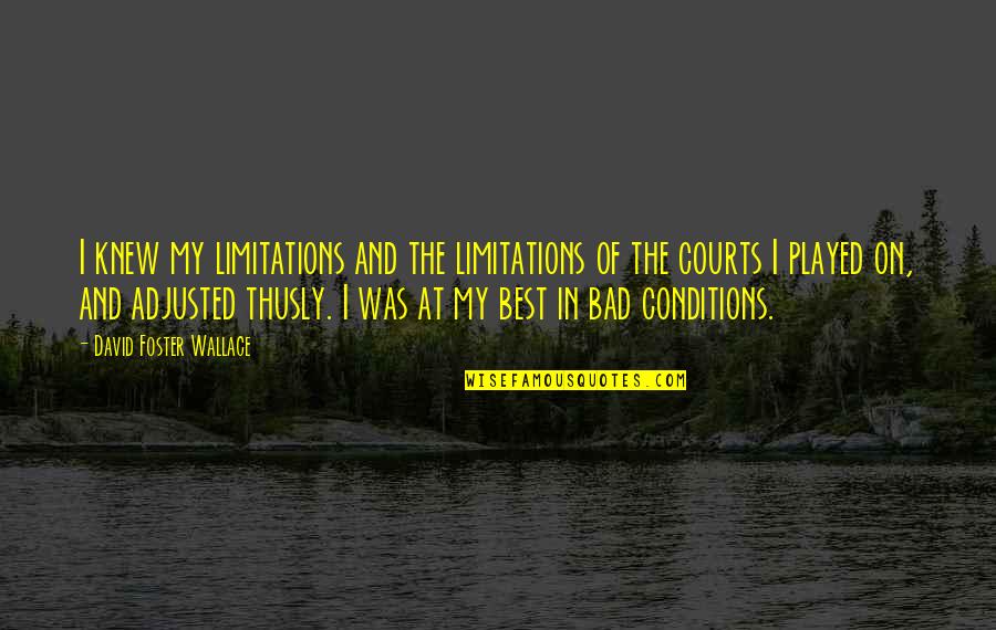 Bad Conditions Quotes By David Foster Wallace: I knew my limitations and the limitations of