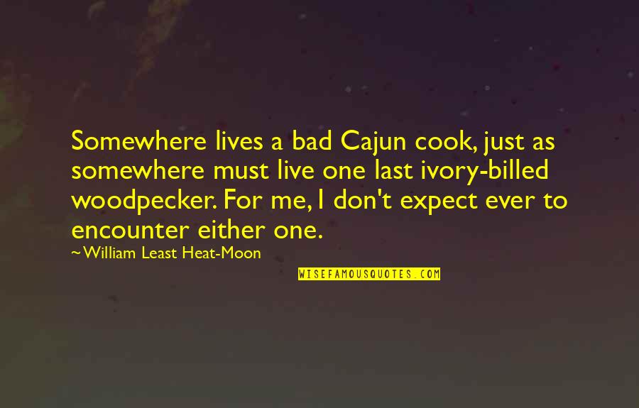 Bad Cooking Quotes By William Least Heat-Moon: Somewhere lives a bad Cajun cook, just as