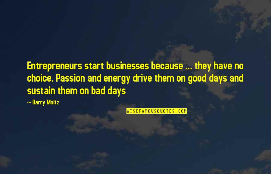 Bad Day Start Quotes By Barry Moltz: Entrepreneurs start businesses because ... they have no