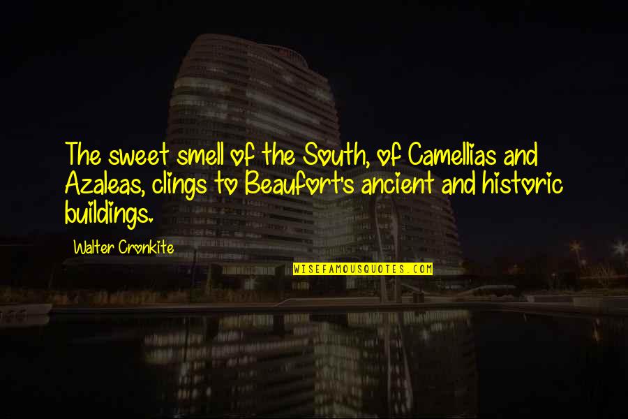 Bad Day Tagalog Quotes By Walter Cronkite: The sweet smell of the South, of Camellias