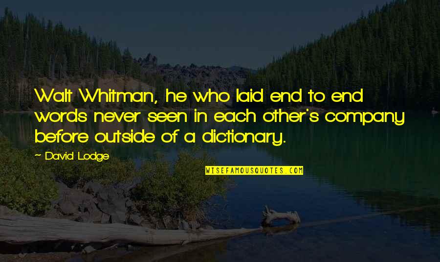 Bad Day Will Get Better Quotes By David Lodge: Walt Whitman, he who laid end to end