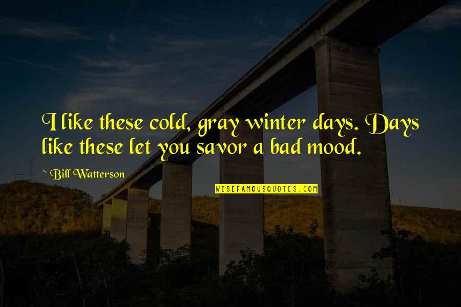 Bad Days Quotes By Bill Watterson: I like these cold, gray winter days. Days