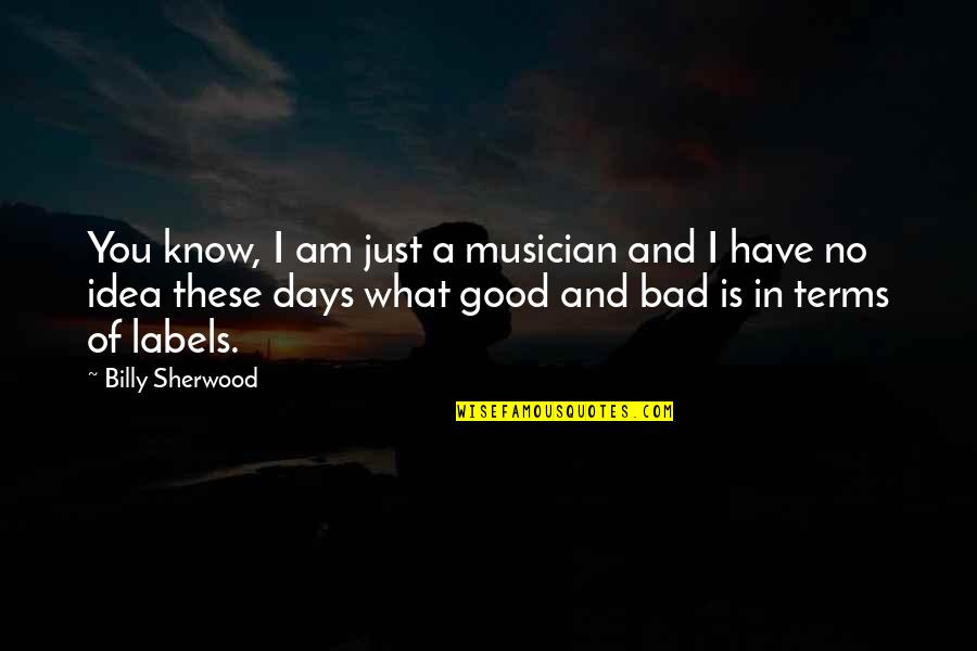 Bad Days Quotes By Billy Sherwood: You know, I am just a musician and