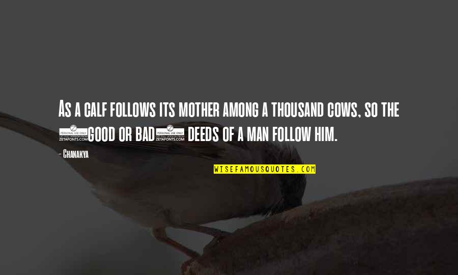 Bad Deeds Quotes By Chanakya: As a calf follows its mother among a Bad Deeds Quotes By Chanakya: As a calf follows its mother among a