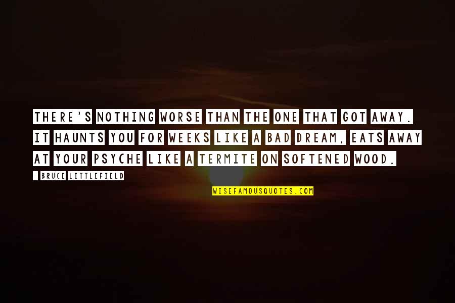 Bad Dream Quotes By Bruce Littlefield: There's nothing worse than the one that got