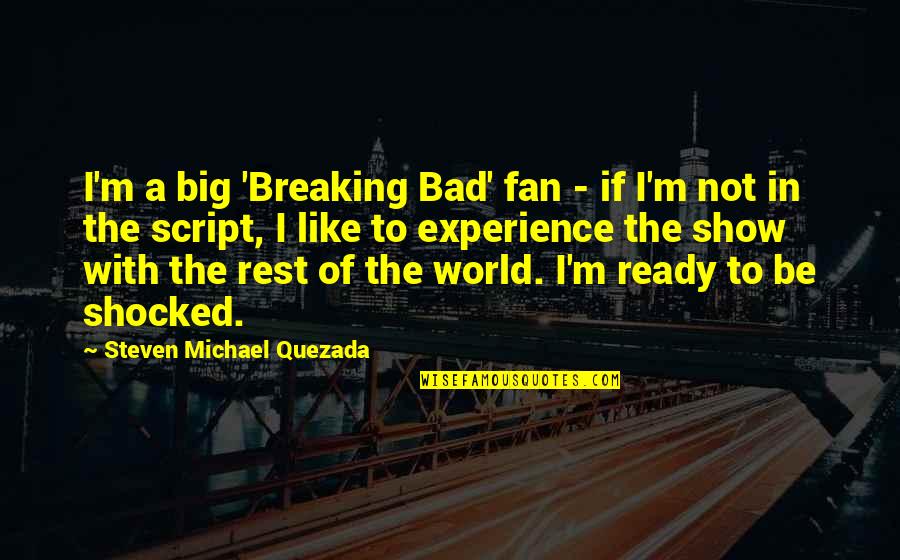 Bad Experience Quotes By Steven Michael Quezada: I'm a big 'Breaking Bad' fan - if