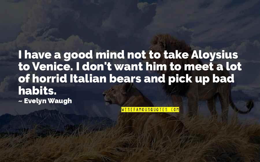 Bad Habits Quotes By Evelyn Waugh: I have a good mind not to take