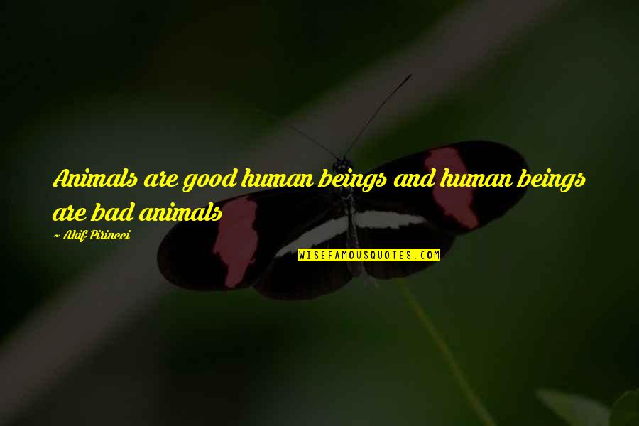 Bad Human Quotes By Akif Pirincci: Animals are good human beings and human beings