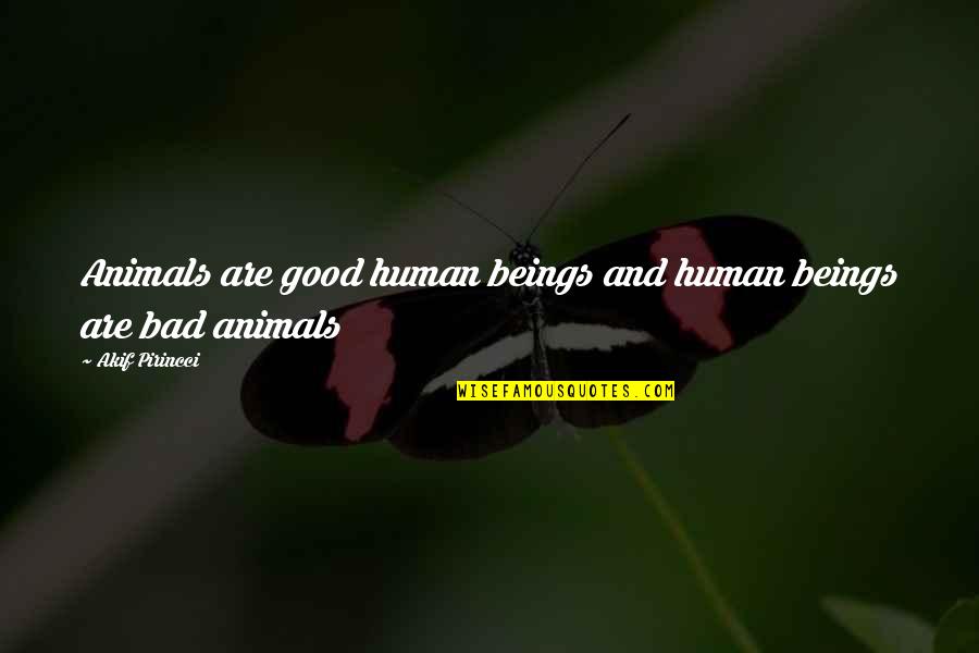 Bad Humans Quotes By Akif Pirincci: Animals are good human beings and human beings