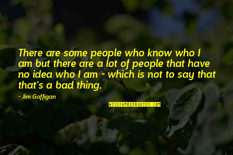 Bad Ideas Quotes By Jim Gaffigan: There are some people who know who I