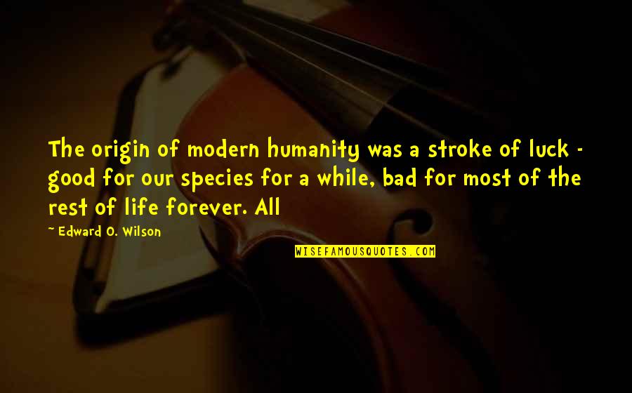 Bad Luck In Life Quotes By Edward O. Wilson: The origin of modern humanity was a stroke Bad Luck In Life Quotes By Edward O. Wilson: The origin of modern humanity was a stroke