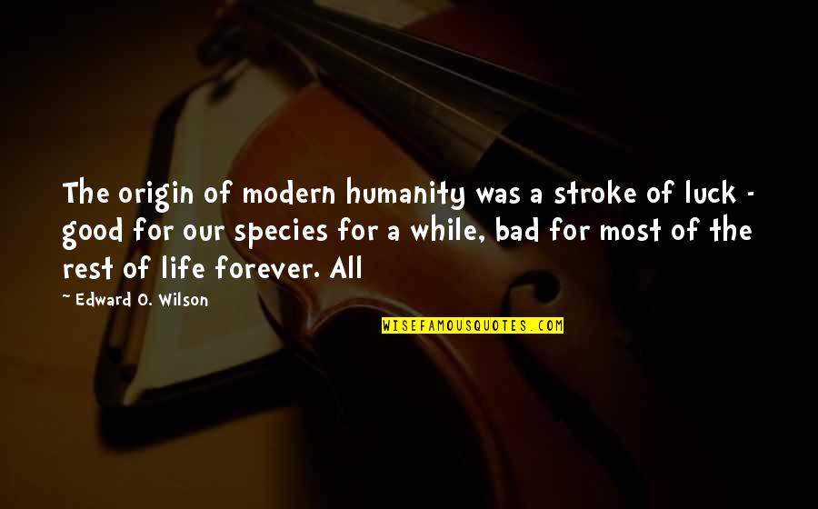 Bad Luck To Good Luck Quotes By Edward O. Wilson: The origin of modern humanity was a stroke