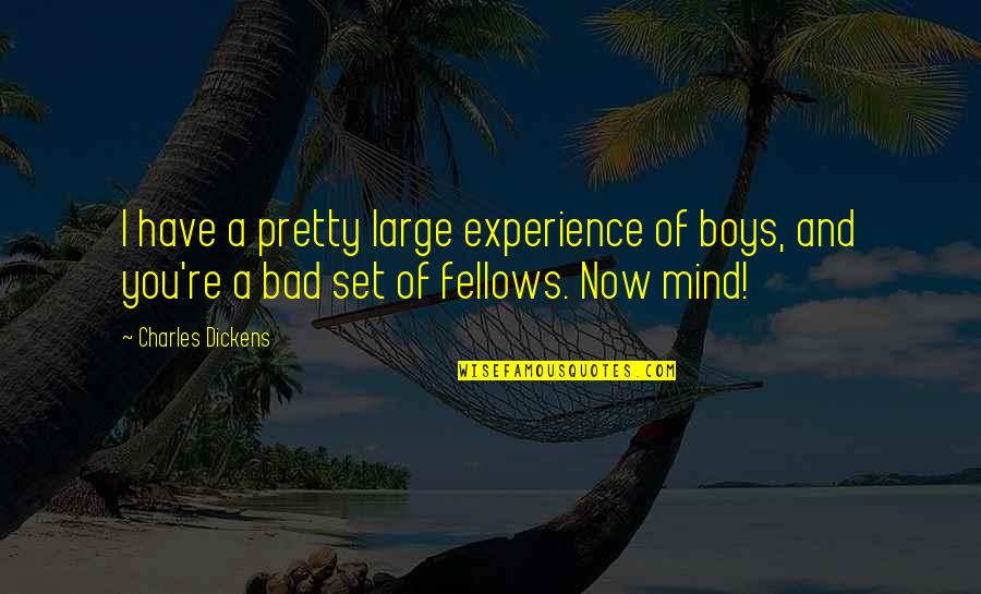 Bad Mind Quotes By Charles Dickens: I have a pretty large experience of boys,