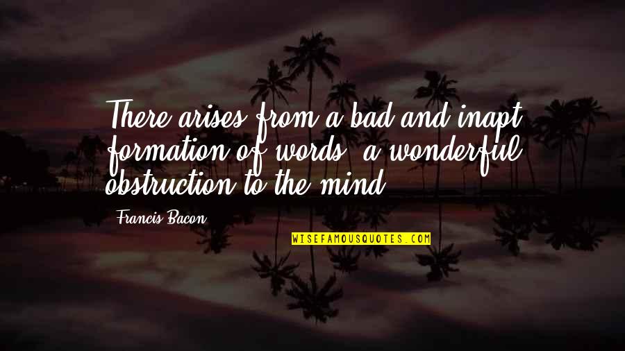 Bad Mind Quotes By Francis Bacon: There arises from a bad and inapt formation