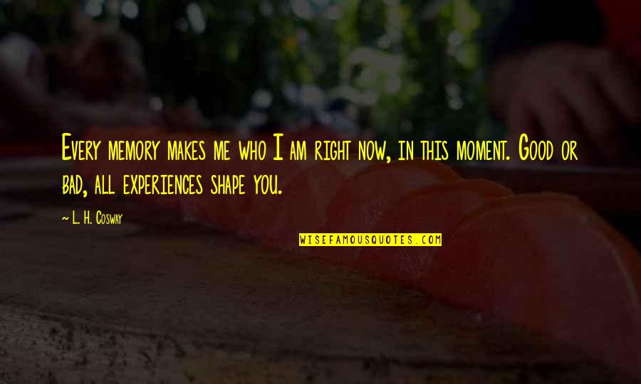 Bad Moment Quotes By L. H. Cosway: Every memory makes me who I am right Bad Moment Quotes By L. H. Cosway: Every memory makes me who I am right