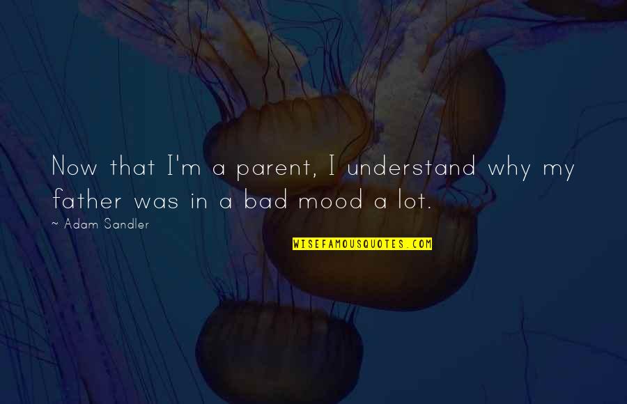 Bad Mood Quotes By Adam Sandler: Now that I'm a parent, I understand why