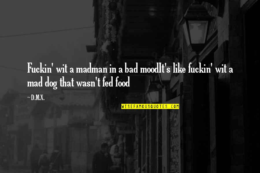 Bad Mood Quotes By D.M.X.: Fuckin' wit a madman in a bad moodIt's