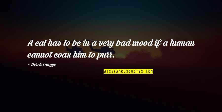 Bad Mood Quotes By Derek Tangye: A cat has to be in a very