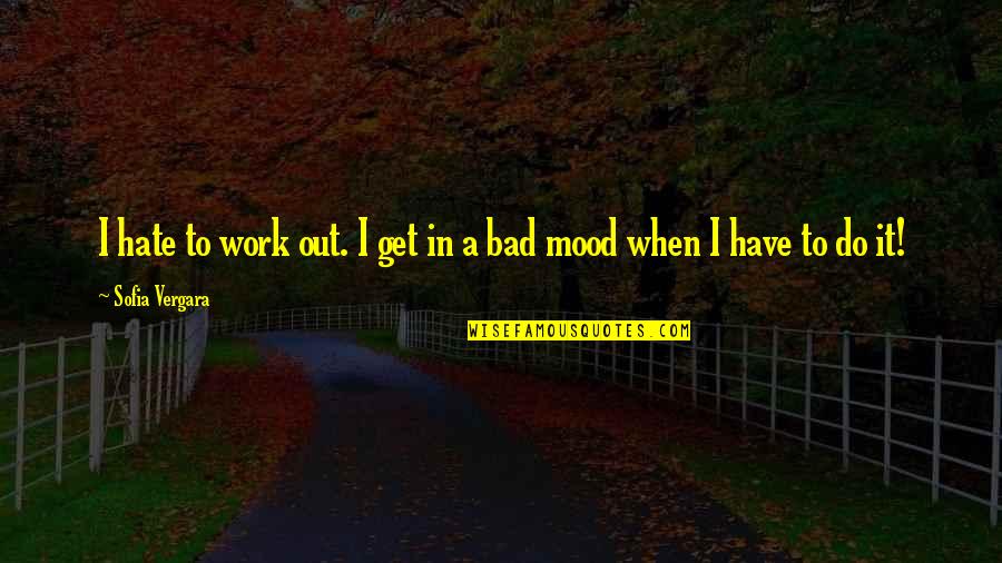 Bad Mood Quotes By Sofia Vergara: I hate to work out. I get in