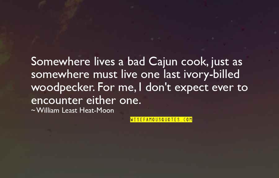 Bad Moon Quotes By William Least Heat-Moon: Somewhere lives a bad Cajun cook, just as Bad Moon Quotes By William Least Heat-Moon: Somewhere lives a bad Cajun cook, just as