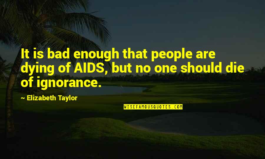 Bad One Quotes By Elizabeth Taylor: It is bad enough that people are dying