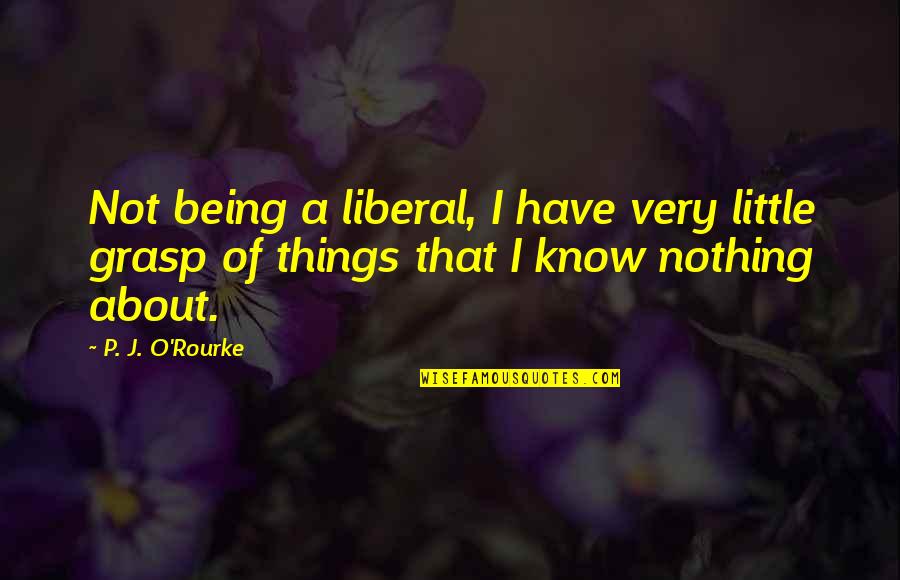 Bad Perfectionist Quotes By P. J. O'Rourke: Not being a liberal, I have very little