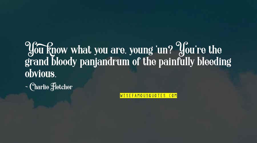 Bad Relationship Bible Quotes By Charlie Fletcher: You know what you are, young 'un? You're