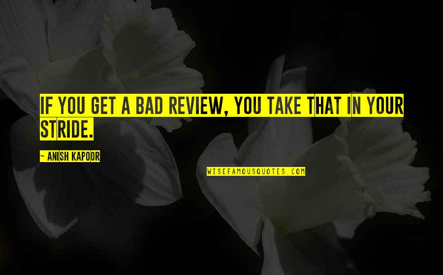 Bad Review Quotes By Anish Kapoor: If you get a bad review, you take Bad Review Quotes By Anish Kapoor: If you get a bad review, you take