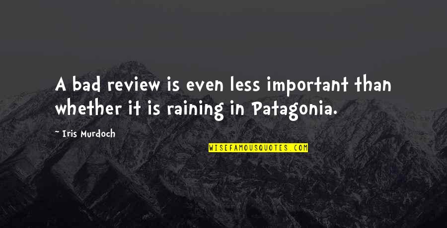 Bad Reviews Quotes By Iris Murdoch: A bad review is even less important than