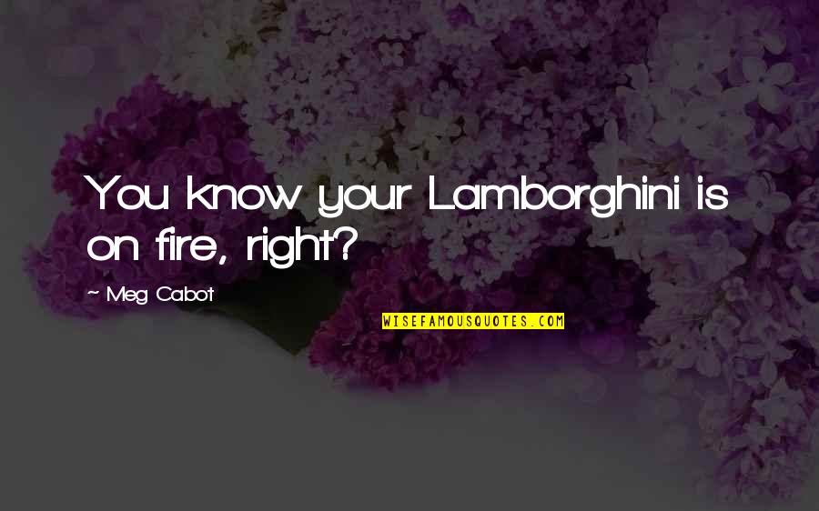 Bad Romance Novels Quotes By Meg Cabot: You know your Lamborghini is on fire, right?