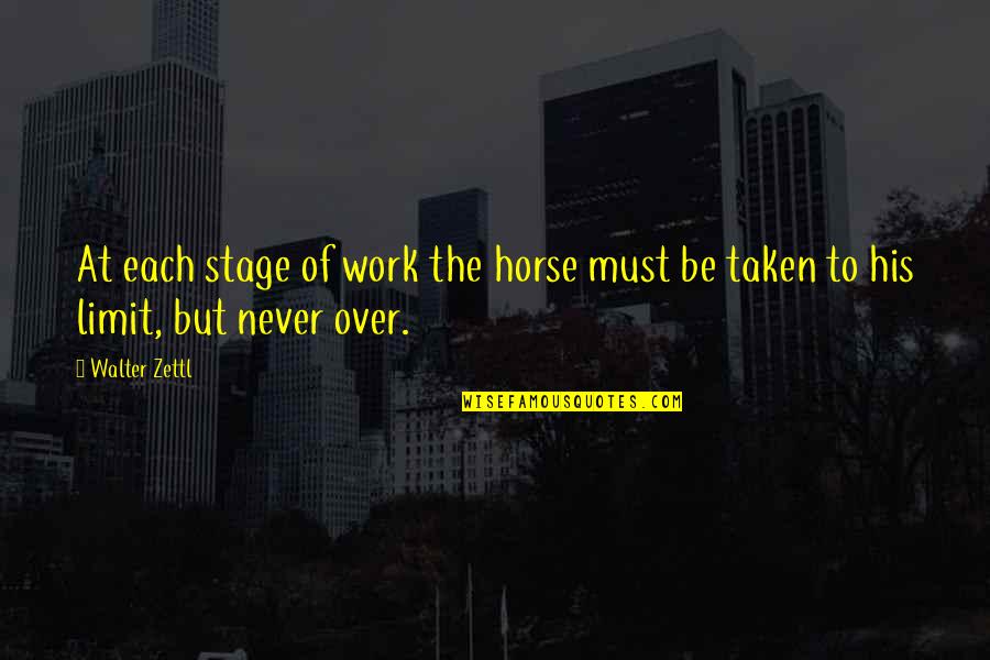 Bad Things Leading To Good Quotes By Walter Zettl: At each stage of work the horse must