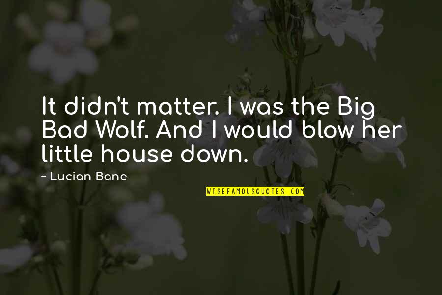 Bad Wolf Quotes By Lucian Bane: It didn't matter. I was the Big Bad