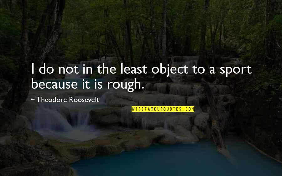 Badass Irish Quotes By Theodore Roosevelt: I do not in the least object to