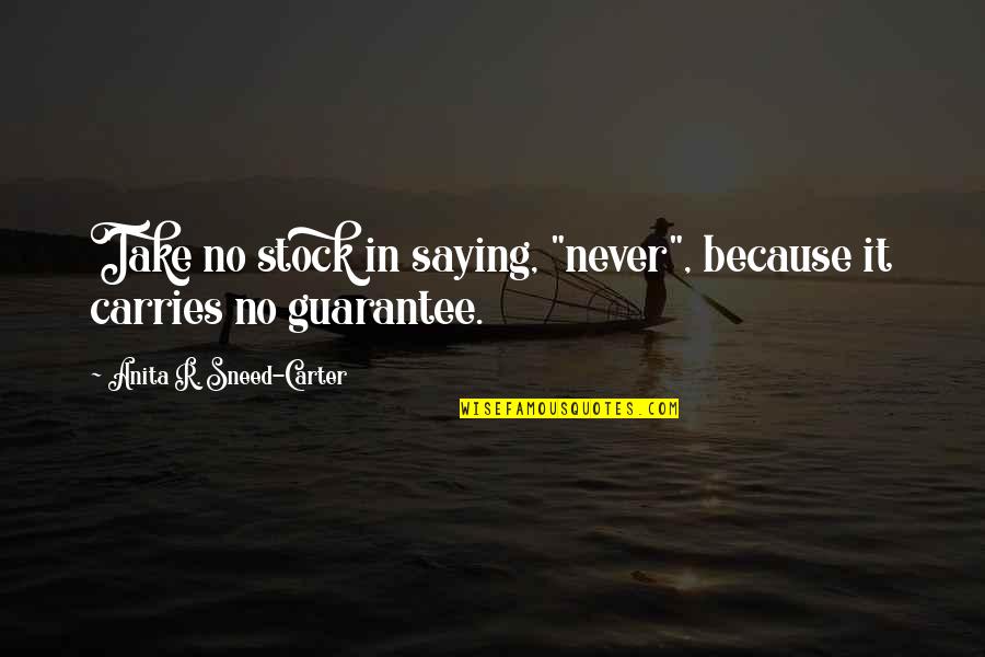 Baddest Female Quotes By Anita R. Sneed-Carter: Take no stock in saying, "never", because it